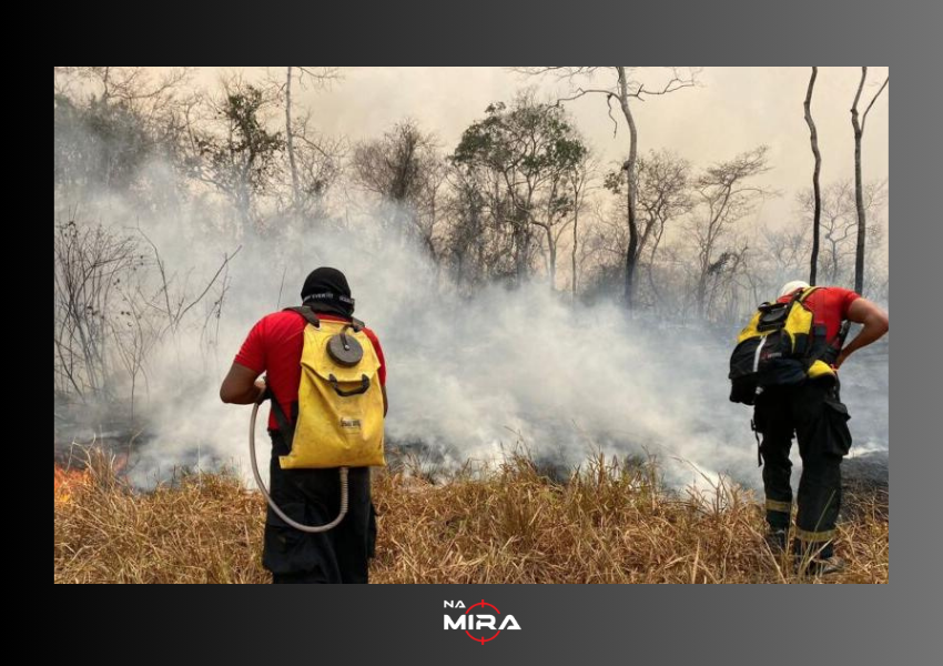 Rondônia Enfrenta Crise de Incêndios Florestais e Declara Situação de Emergência