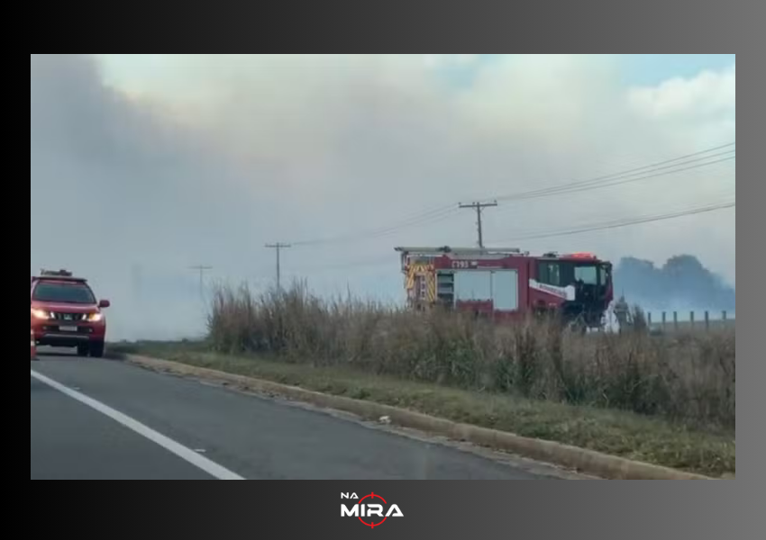 Incêndio de Grande Proporção Interdita Temporariamente a BR-101 em Linhares, ES