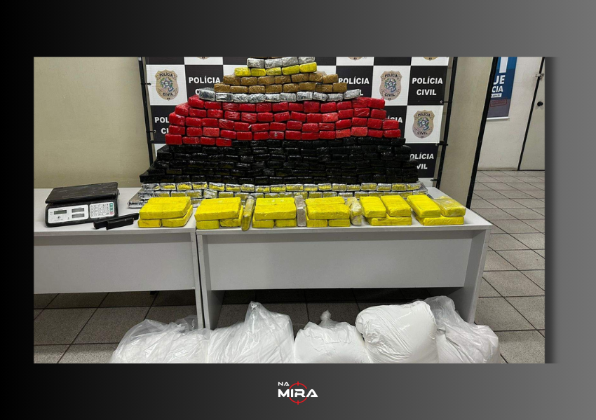 Polícia Descobre 240 kg de Maconha Escondidos em Geladeira durante Operação na Serra