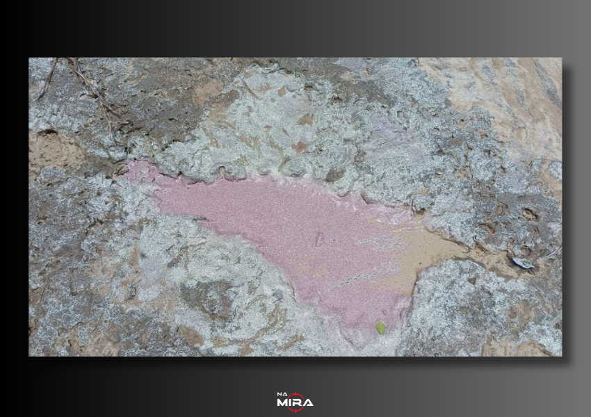 Substância oleosa misteriosa aparece em praia do Norte do ES e causa alerta ambiental