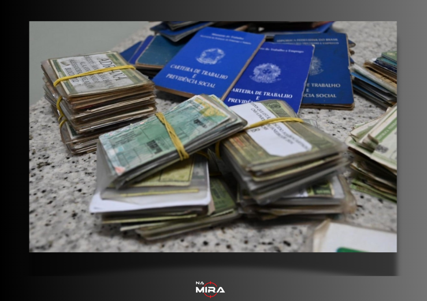 Vitória reúne quase 8 mil documentos perdidos na Casa do Cidadão; confira como recuperar