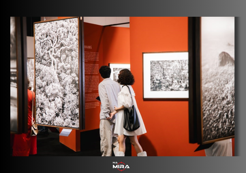 Exposição “Amazônia”, de Sebastião Salgado, registra grande público e vira destaque cultural em Vitória