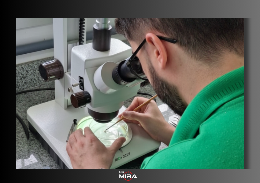 Incaper amplia quadro e convoca novos servidores aprovados em concurso