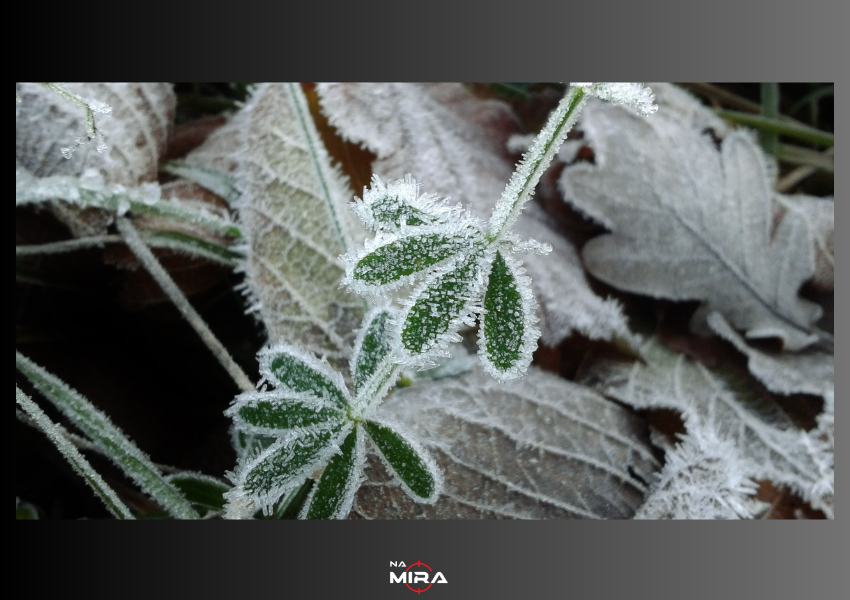 Cidade mais fria do Brasil registra sensação térmica de -12°C antes da chegada do inverno