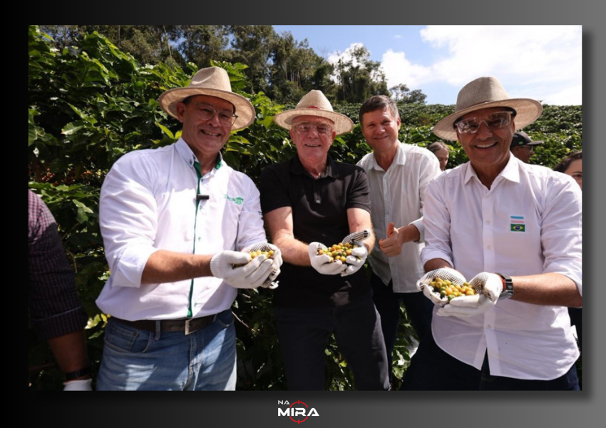 Governador abre oficialmente colheita do café arábica no Espírito Santo em evento em Iúna